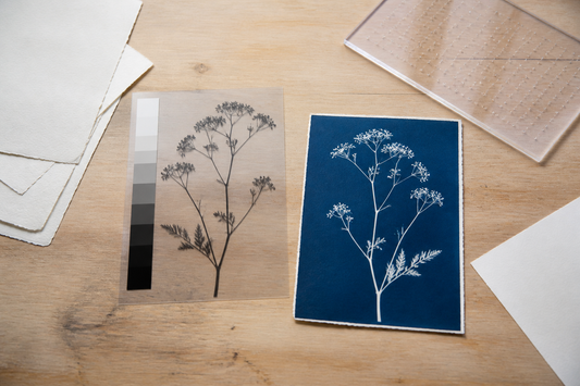 How to make a digital negative for cyanotype: contrast, film and printer settings