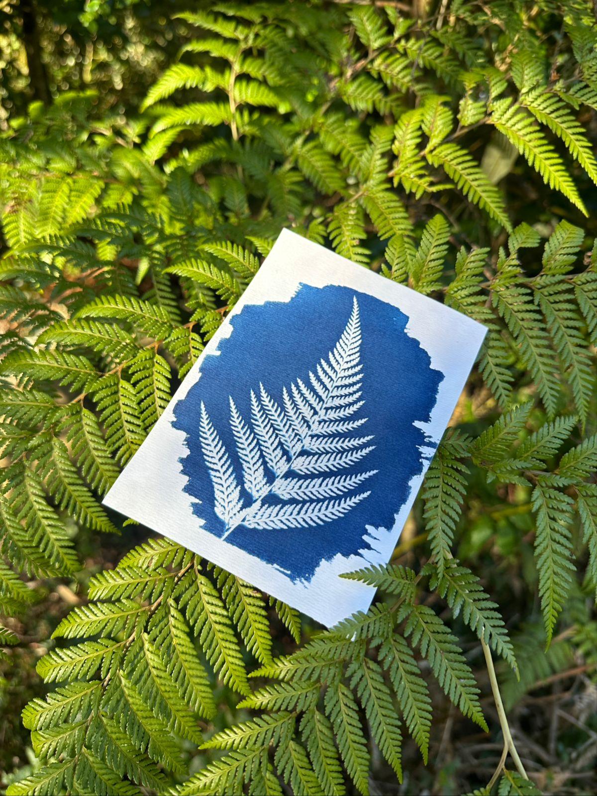 Blauwe cyanotype afdruk van een varen, gelegd op een echt varenblad voor natuurlijke compositie