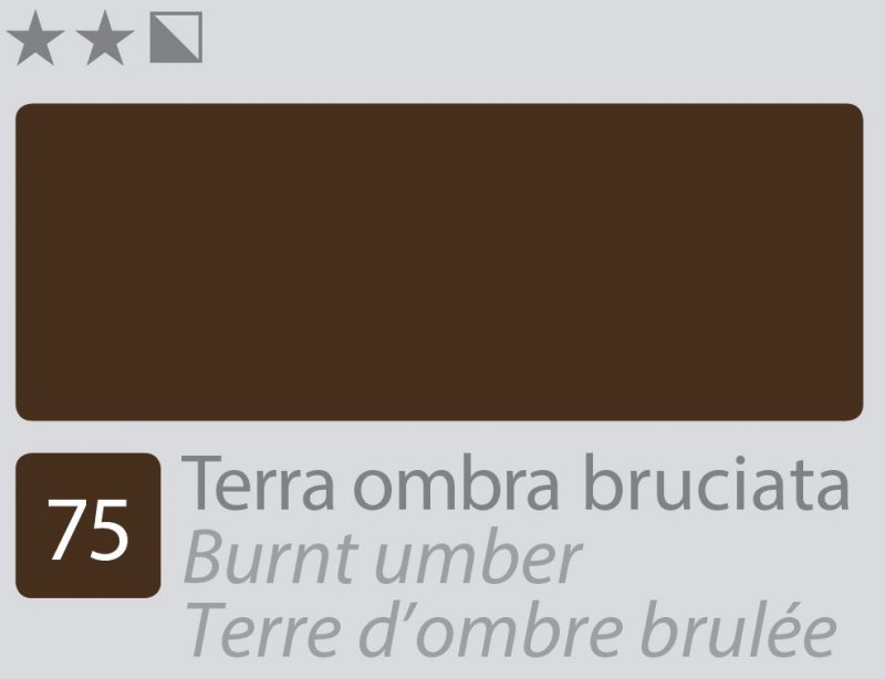 Divolo Accademia Oil paint 20 ml - Burnt terra d'ombra - Colori a olio