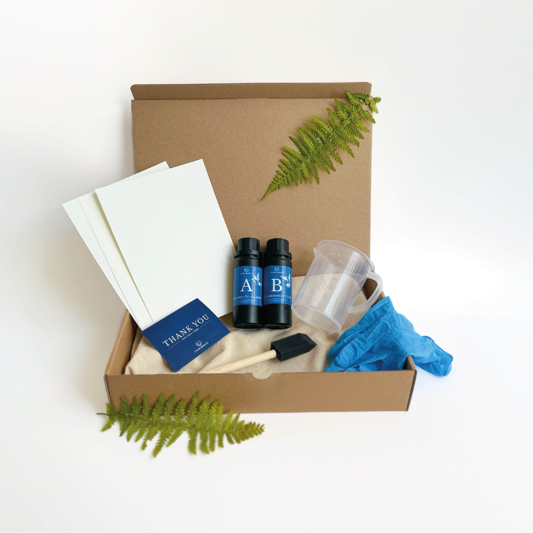 Cyanotype starter kit compleet – emulsie, Papir and accessoires - Cyanotypisæt