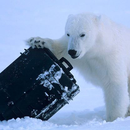 Explorer Cases 9433 Suojalaukku Musta sekä Vaahtomuovi — 4