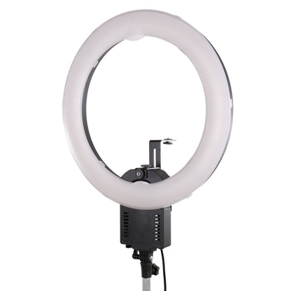Falcon Eyes Ring Lampe FLC-65 65W + TMB-20Z