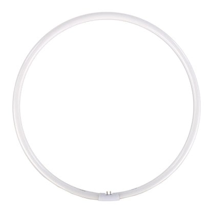 Falcon Eyes Spare Ring Lamp for FLC-65 65W