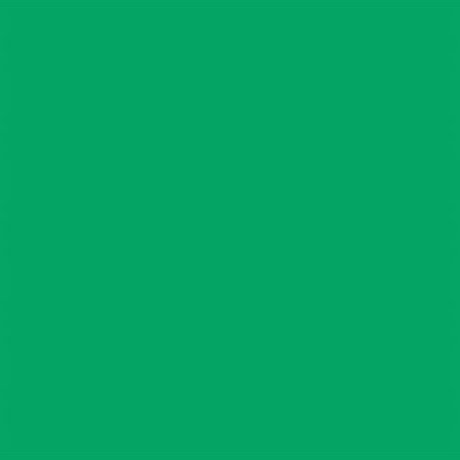 Falcon Eyes Fondale di carta 46 Chroma Verde 2.18 x11 m