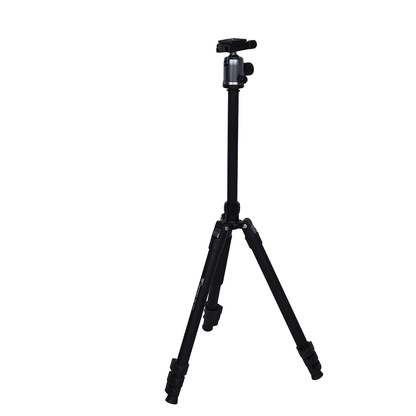 Nest Tripod WF-6627 + Ball Head — 2