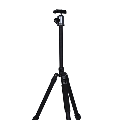 Nest Tripod WF-6627 + Ball Head — 3