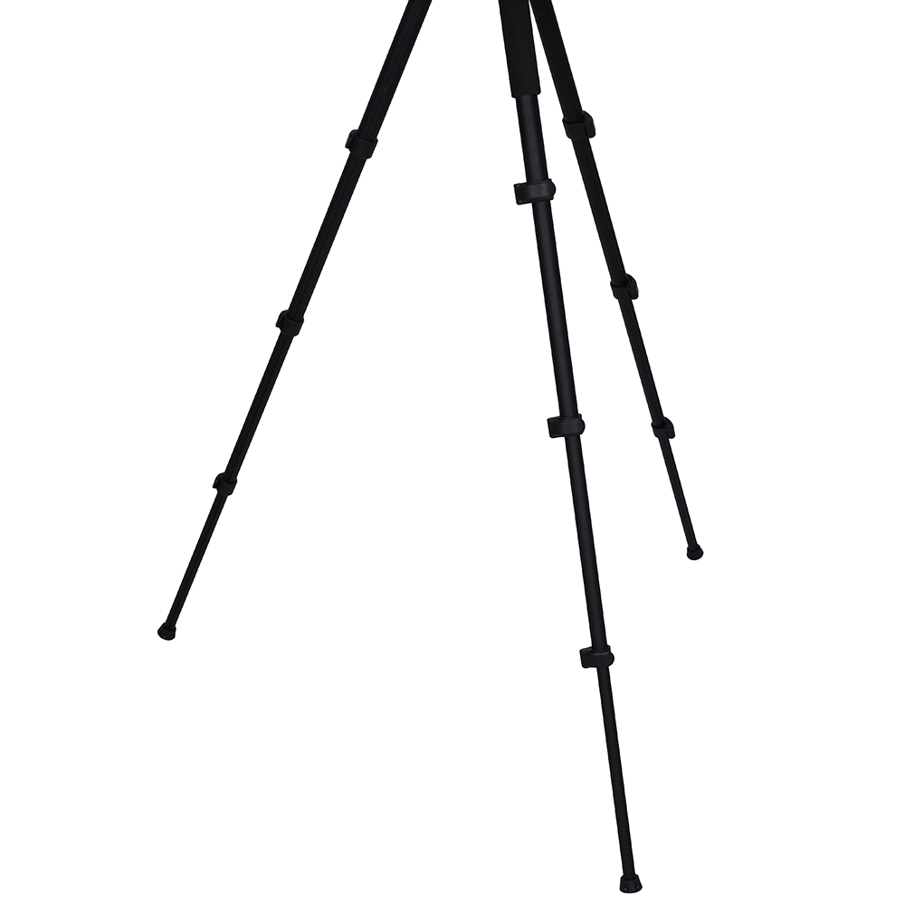 Nest Tripod WF-6627 + Ball Head — 4
