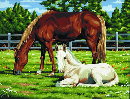 R&L Artist Canvas A3 Paint by numbers - Horses in Field - Mal efter tal
