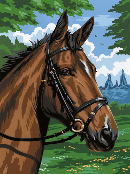 R&L Artist Canvas A4 Paint by numbers - Thoroughbred - Mal efter tal