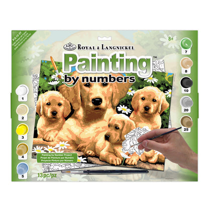 R&L Junior Large A3 Paint by numbers - Golden Retriever & Puppies - Mal efter tal