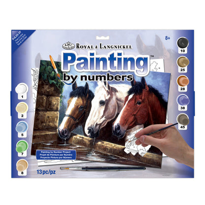 R&L Junior Large A3 Paint by numbers - Three of a Kind - Mal efter tal