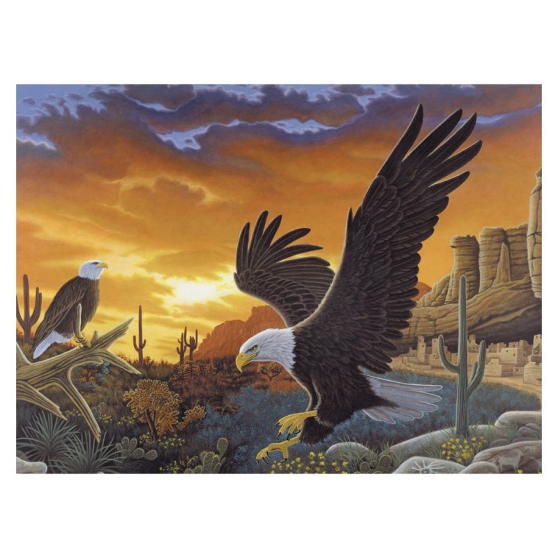 R&L Adult Large A3 Paint by numbers - Sky Messenger - Dipinti con i numeri