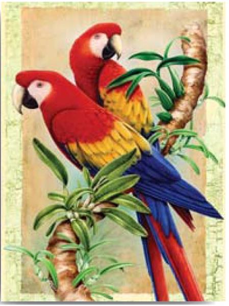 R&L Junior Small A4 Paint by numbers - Bamboo Parrots - Mal efter tal