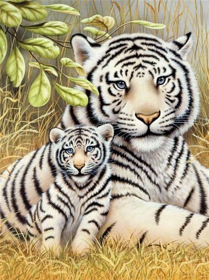 R&L Junior Small A4 Paint by numbers - hvid Tiger Pair - Mal efter tal