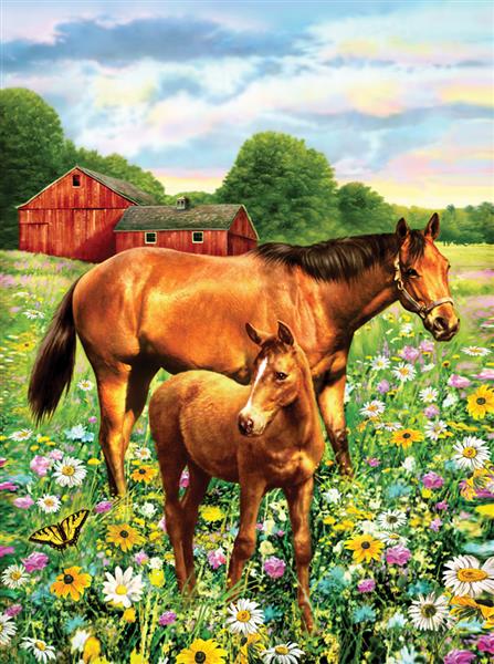 R&L Junior Small A4 Paint by numbers - Horse In Field - Mal efter tal