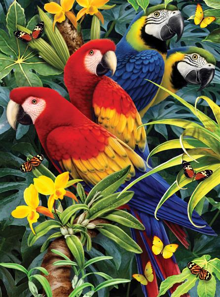 R&L Junior Small A4 Paint by numbers - Majestic Macaws - Mal efter tal