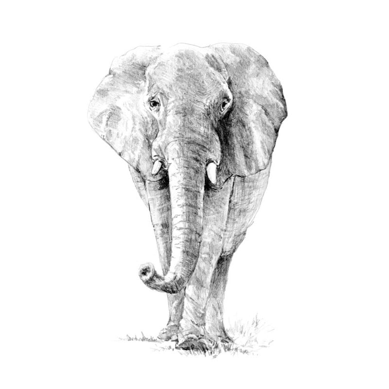 R&L Sketching Made Easy Standard - Mal efter tal