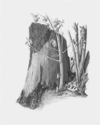 R&L Sketching Made Easy Standard - Tree Stump - Mal efter tal