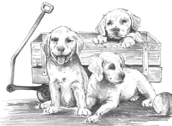 R&L Sketching Made Easy Large - Puppies & Wagon - Mal efter tal