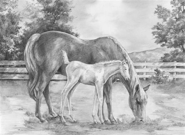 R&L Sketching Made Easy Large - Horse & Colt - Mal efter tal