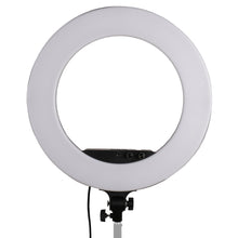 StudioKing LED Ring Lamp Set LED-480ASK on 230V — 2