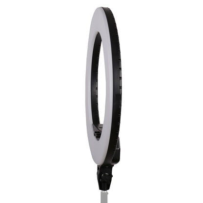 StudioKing LED Rengas Lamppu Sarja LED-480ASK – 230V — 7