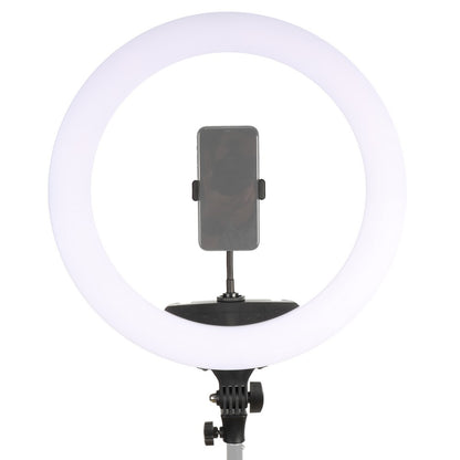 StudioKing LED Ring Lampe Sæt 65W LR-650 — 2