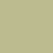 Superior Baggrundspapir 13 Tropical Grøn 1.35 x 11m — 2
