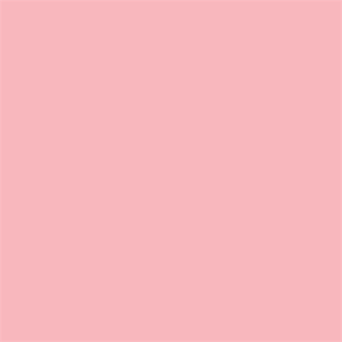 Superior Fondale di carta 17 Carnation Rosa 1.35 x 11m — 2