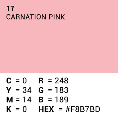 Superior Fondale di carta 17 Carnation Rosa 1.35 x 11m — 5