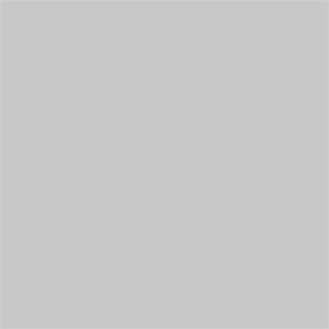 Superior Background Paper 42 Morning Mist 1.35 x 11m — 2