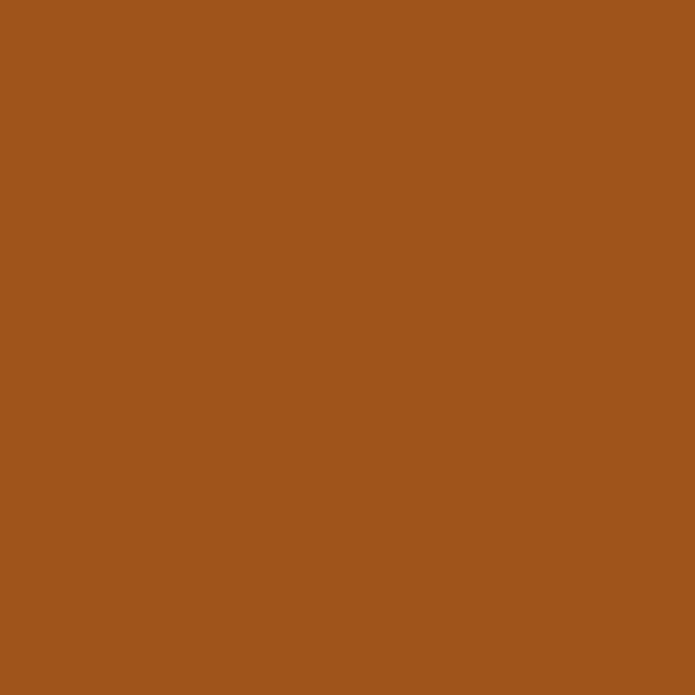 Superior Background Paper 48 Spice 1.35 x 11m — 2