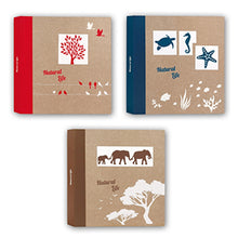Zep NF293150 Pergamin Album 50 Ark 29x31 cm 6 Stk.