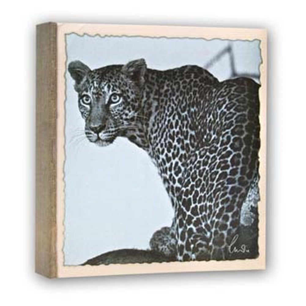 Zep WL57100 Album A tasche 100 Foto 13x19 cm - 12 albums