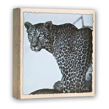 Zep WL57100 Album Med fotolommer 100 Fotos 13x19 cm - 12 albums