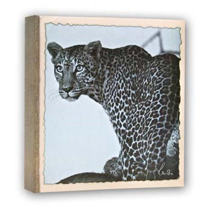 Zep WL57100 Album A tasche 100 Foto 13x19 cm - 12 albums