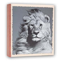 Zep WL57100 Album Med fotolommer 100 Fotos 13x19 cm - 12 albums — 2