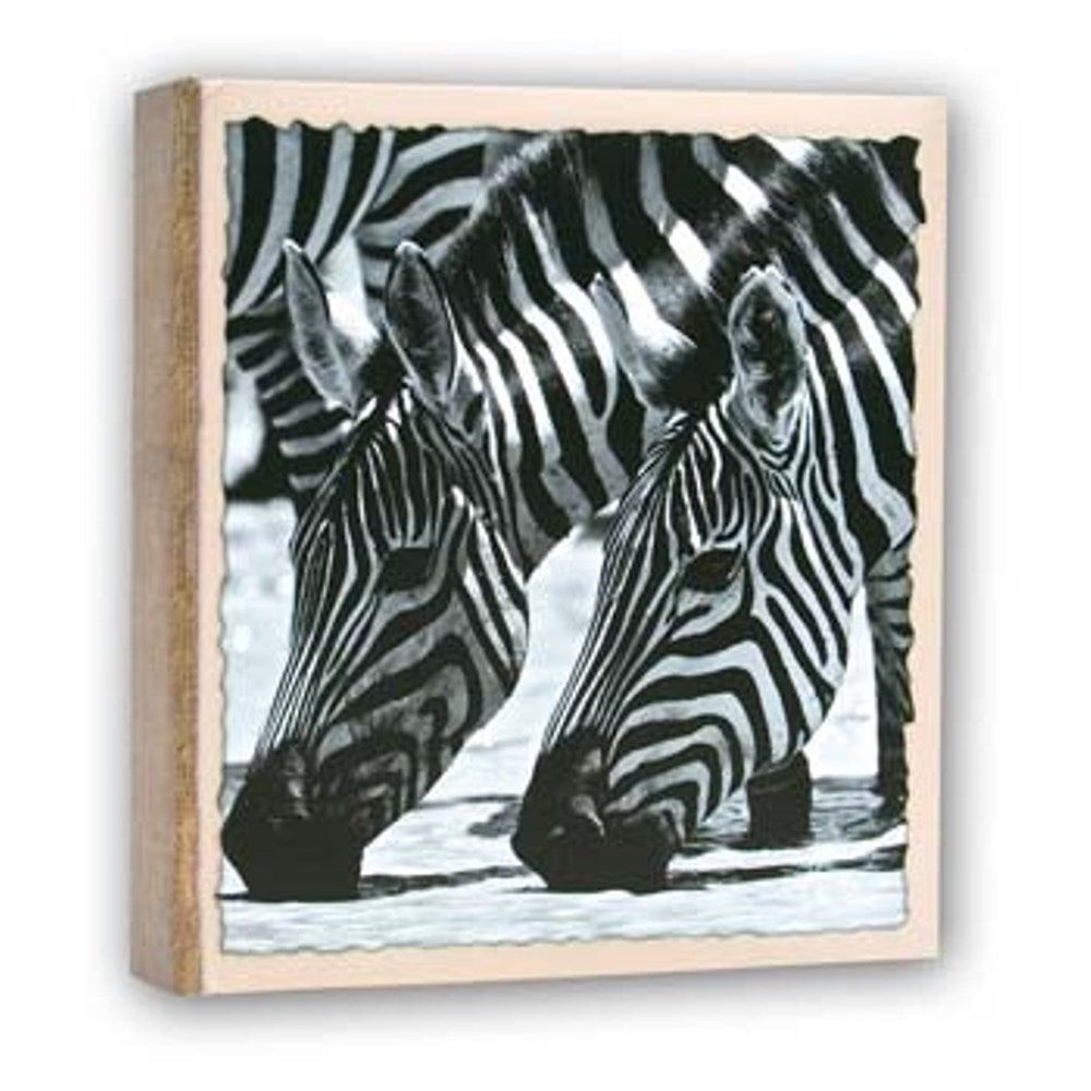 Zep WL57100 Album A tasche 100 Foto 13x19 cm - 12 albums — 3