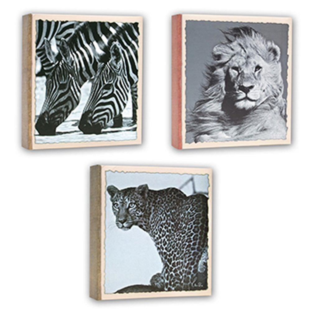 Zep WL57100 Album A tasche 100 Foto 13x19 cm - 12 albums — 4