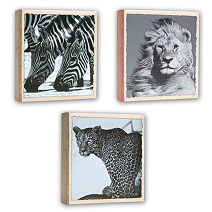 Zep WL57100 Album A tasche 100 Foto 13x19 cm - 12 albums — 4