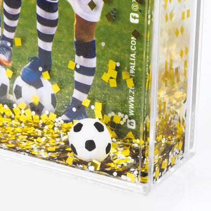 Zep RB983 Skaka Ram Fotboll 10x15 cm 6 St. — 2